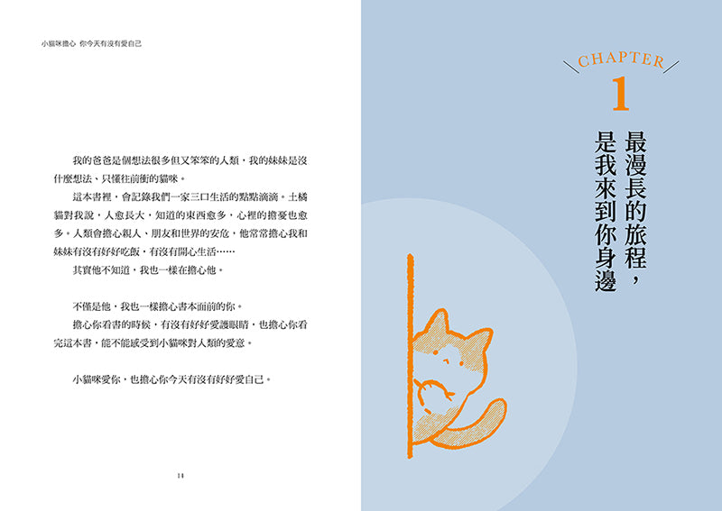 小貓咪擔心你今天有沒有愛自己（隨書附贈「小貓咪幫幫幫幫忙」正能量附身金句卡）