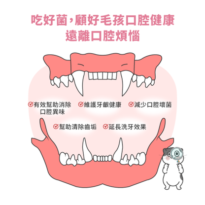 【星巴哈尼】貓咪專用口腔護理保健（口腔益生菌）