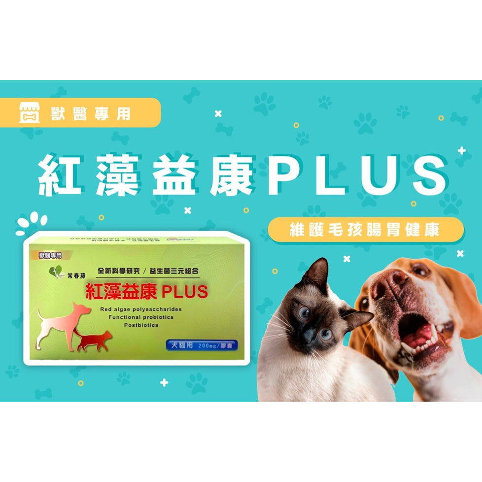 【志耀生醫】紅藻益康PLUS (寵物日常保健益生菌配方)（200mg/顆，60顆入）