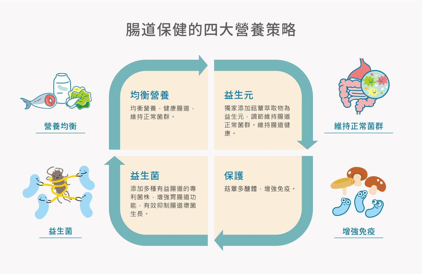 【紐促康】健好菌 全效好好（30條）