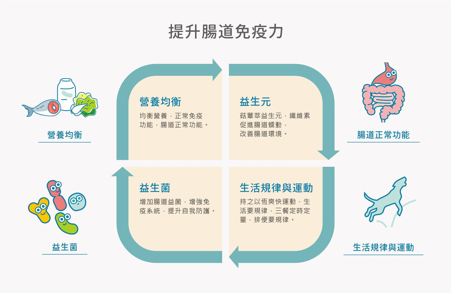 【紐促康】健好菌 免疫好好（30條）